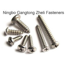 DIN968 Tapping Screws with Stainless Steel